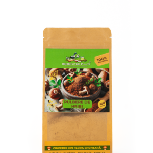 Pulbere de hribi - 100g